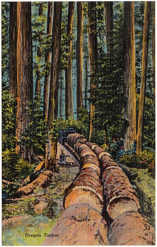 Timber and Stone Act